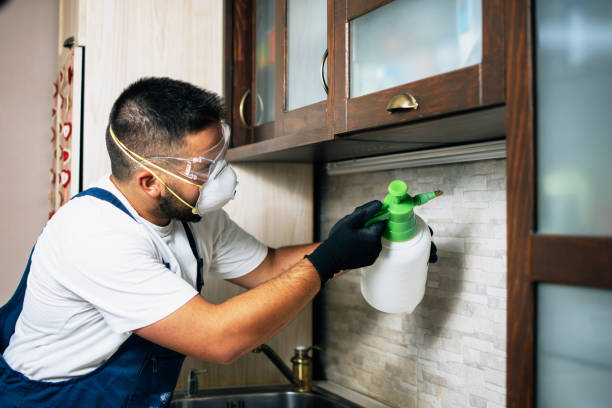 Best Mosquito Control Services  in Eastland, TX