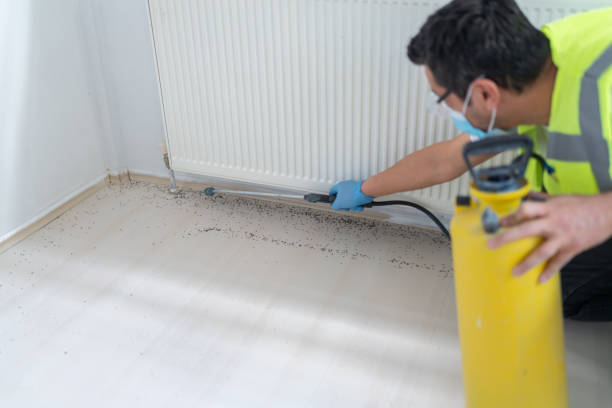 Professional Pest Control in Eastland, TX