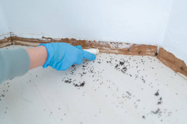 Best Commercial Pest Control Services  in Eastland, TX