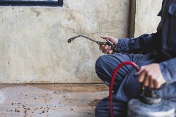 Best Affordable Pest Control Services  in Eastland, TX