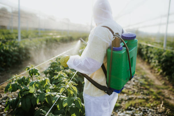 Best Pest Control Near Me  in Eastland, TX